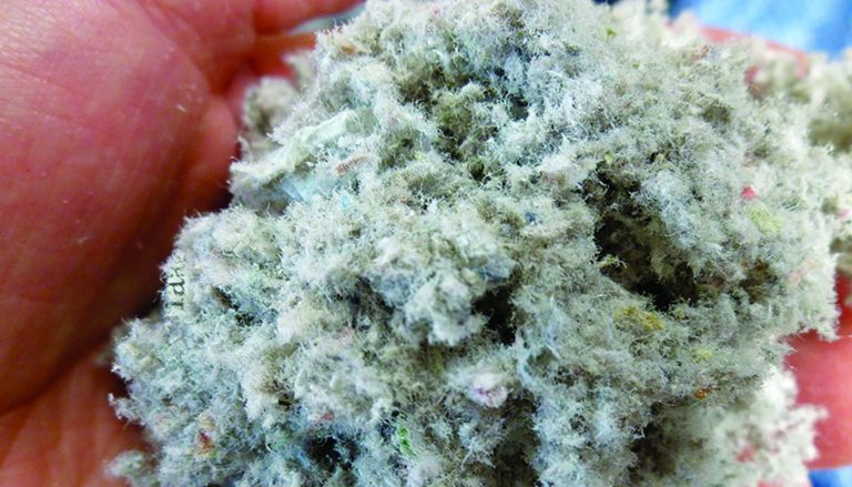 ISOPROC ecobouwgids iQ3 768x439