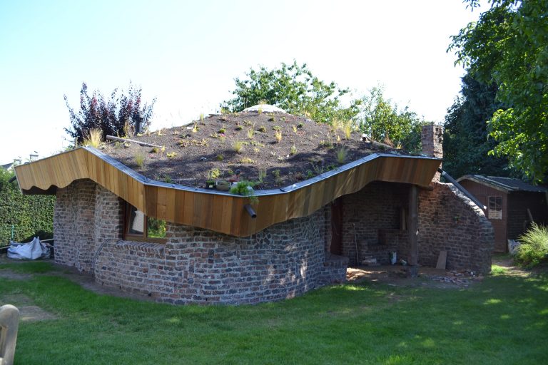 Tiny House 1 min 768x512