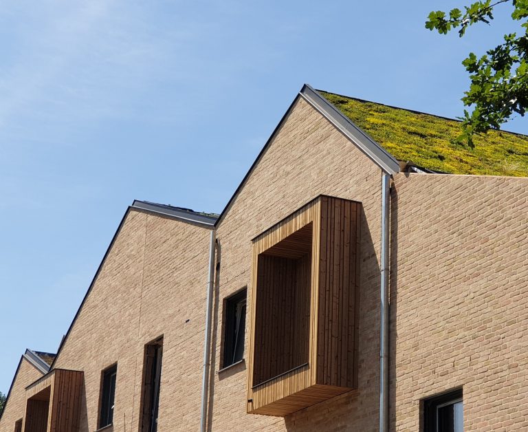 20200610 124456 gecropt 2 768x628